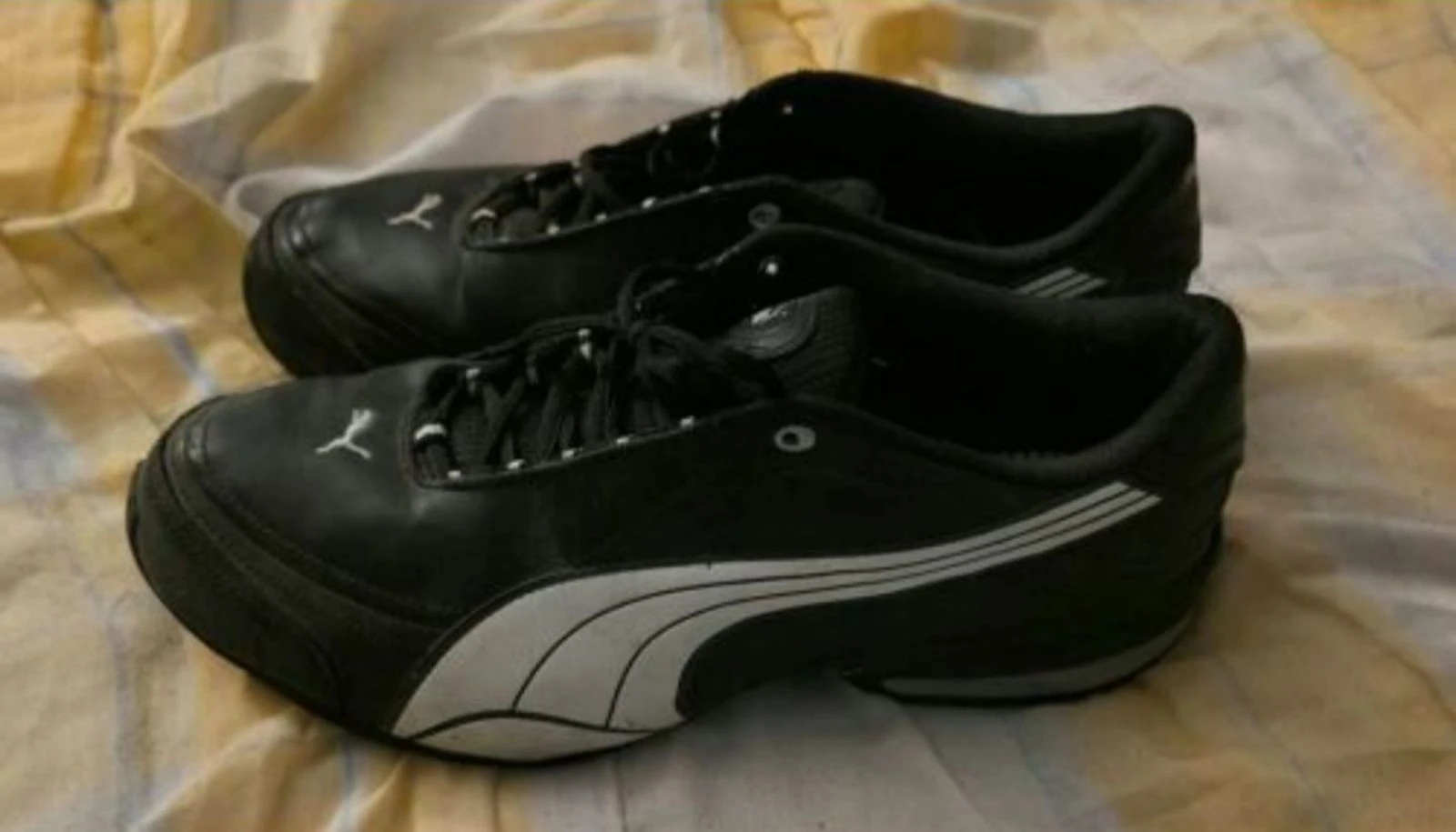 Cesta Puma – photo 3
